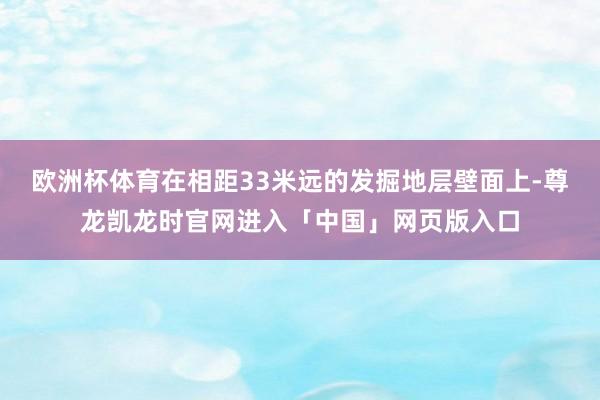 欧洲杯体育在相距33米远的发掘地层壁面上-尊龙凯龙时官网进入「中国」网页版入口