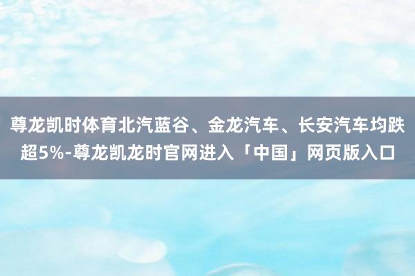 尊龙凯时体育北汽蓝谷、金龙汽车、长安汽车均跌超5%-尊龙凯龙时官网进入「中国」网页版入口