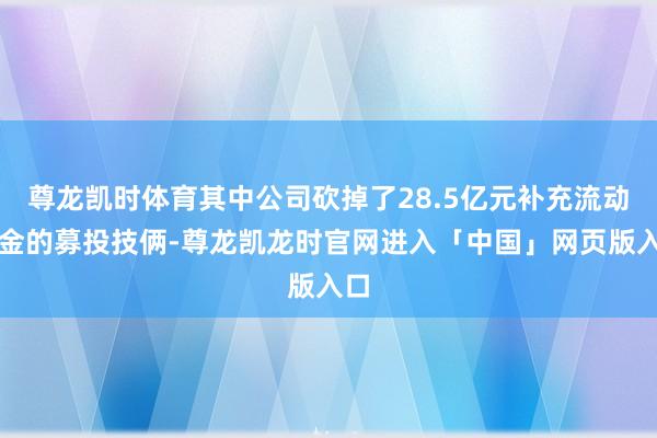 尊龙凯时体育其中公司砍掉了28.5亿元补充流动资金的募投技俩-尊龙凯龙时官网进入「中国」网页版入口