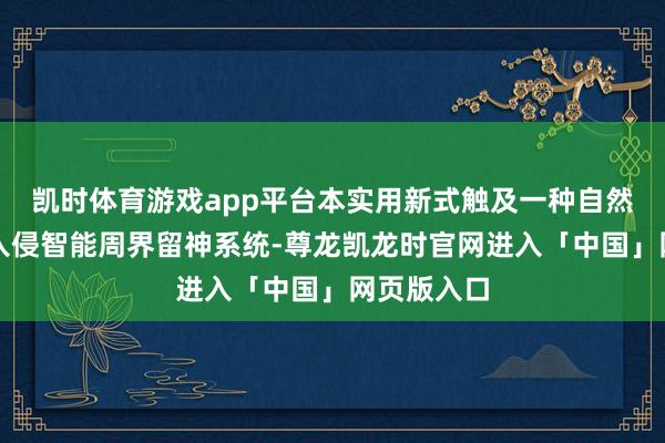 凯时体育游戏app平台本实用新式触及一种自然气场站防入侵智能周界留神系统-尊龙凯龙时官网进入「中国」网页版入口