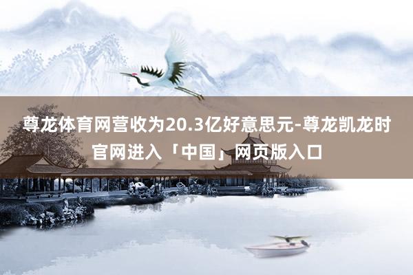 尊龙体育网营收为20.3亿好意思元-尊龙凯龙时官网进入「中国」网页版入口