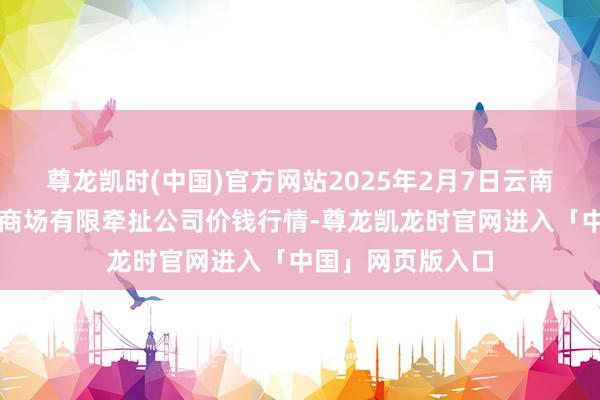 尊龙凯时(中国)官方网站2025年2月7日云南元谋县蔬菜来去商场有限牵扯公司价钱行情-尊龙凯龙时官网进入「中国」网页版入口