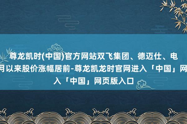 尊龙凯时(中国)官方网站双飞集团、德迈仕、电连本事2月以来股价涨幅居前-尊龙凯龙时官网进入「中国」网页版入口