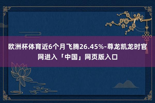 欧洲杯体育近6个月飞腾26.45%-尊龙凯龙时官网进入「中国」网页版入口